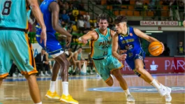 CASA:PRANSA. Agencia creativa  de branding y packaging