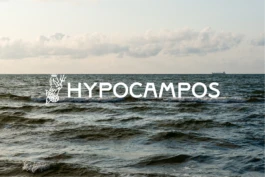 CASA:PRANSA. Agencia creativa  de branding y packaging