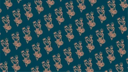 CASA:PRANSA. Agencia creativa  de branding y packaging