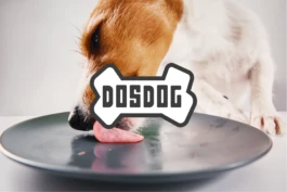 CASA:PRANSA. Agencia creativa  de branding y packaging