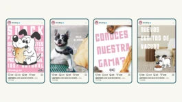 CASA:PRANSA. Agencia creativa de branding y packaging